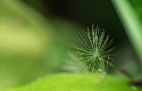 《情事》未删减版下载