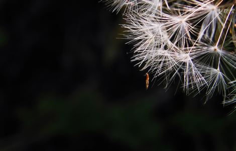 《我的好邻居》