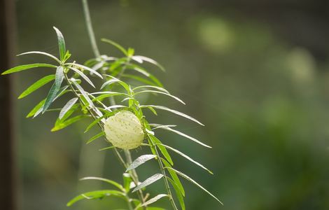 我变成人皮附身班花小说