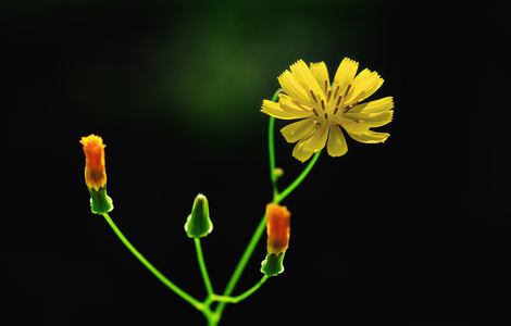 热水器下边螺丝漏水